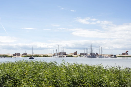 pro.12.markerwadden_14.webp