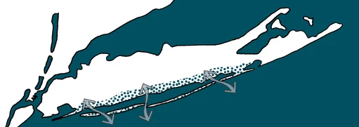 Open system: local measures necessary